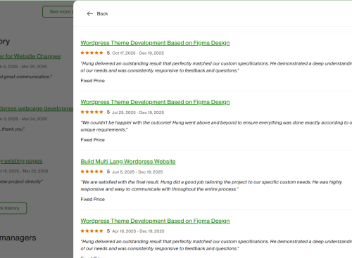 Vietito review for wordpress services