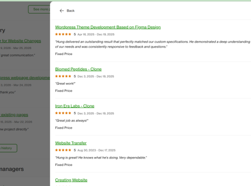 Vietito review for wordpress services