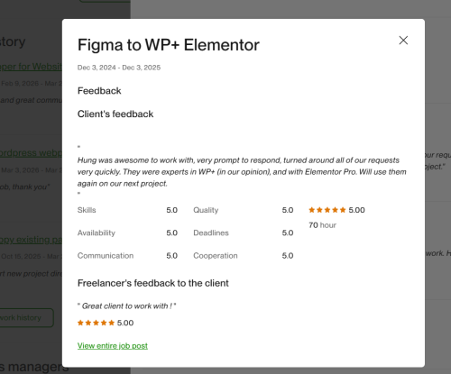 Vietito review for wordpress services