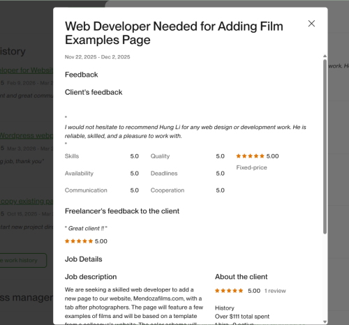 Vietito review for wordpress services
