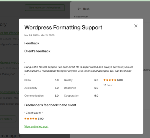 Vietito review for wordpress services