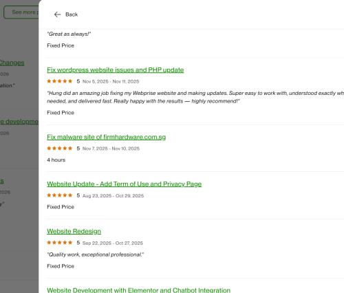 Vietito review for wordpress services