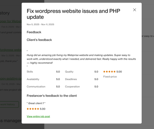 Vietito review for wordpress services
