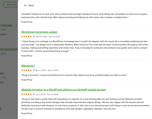 Vietito review for wordpress services