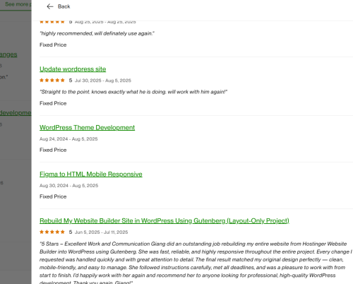 Vietito review for wordpress services