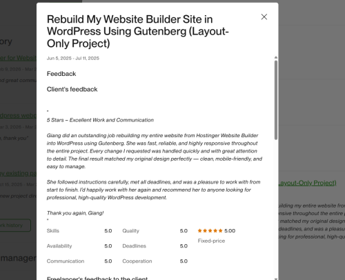 Vietito review for wordpress services