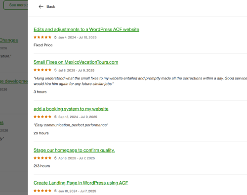 Vietito review for wordpress services