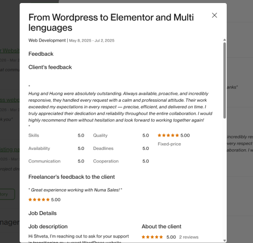 Vietito review for wordpress services
