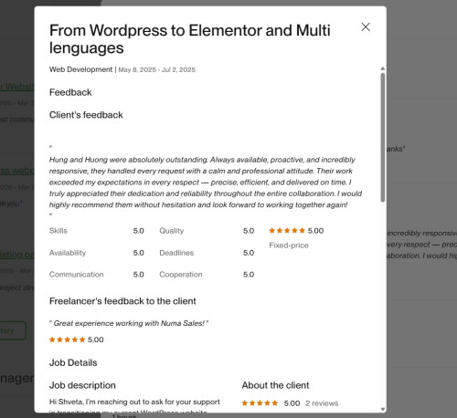 Vietito review for wordpress services