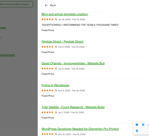 Vietito review for wordpress services
