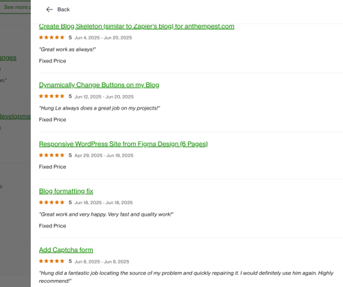 Vietito review for wordpress services