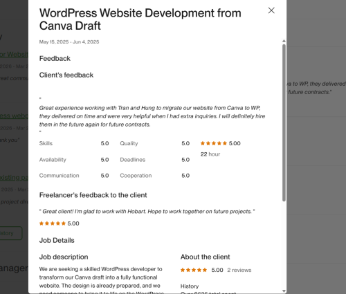 Vietito review for wordpress services