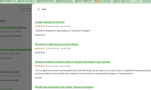 Vietito review for wordpress services