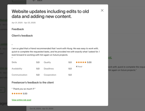 Vietito review for wordpress services