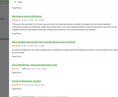 Vietito review for wordpress services