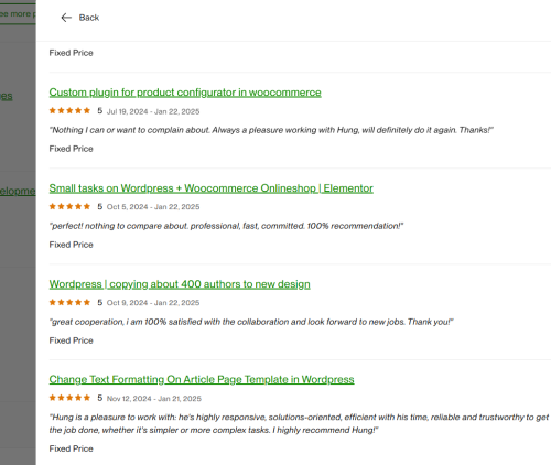 Vietito review for wordpress services