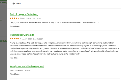 Vietito review for wordpress services