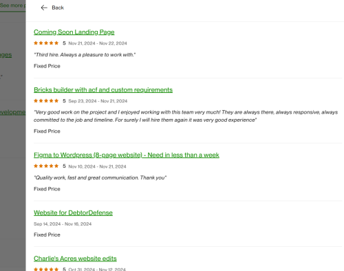 Vietito review for wordpress services