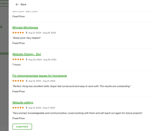 Vietito review for wordpress services