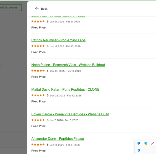 Vietito review for wordpress services