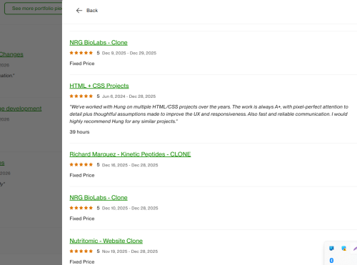 Vietito review for wordpress services